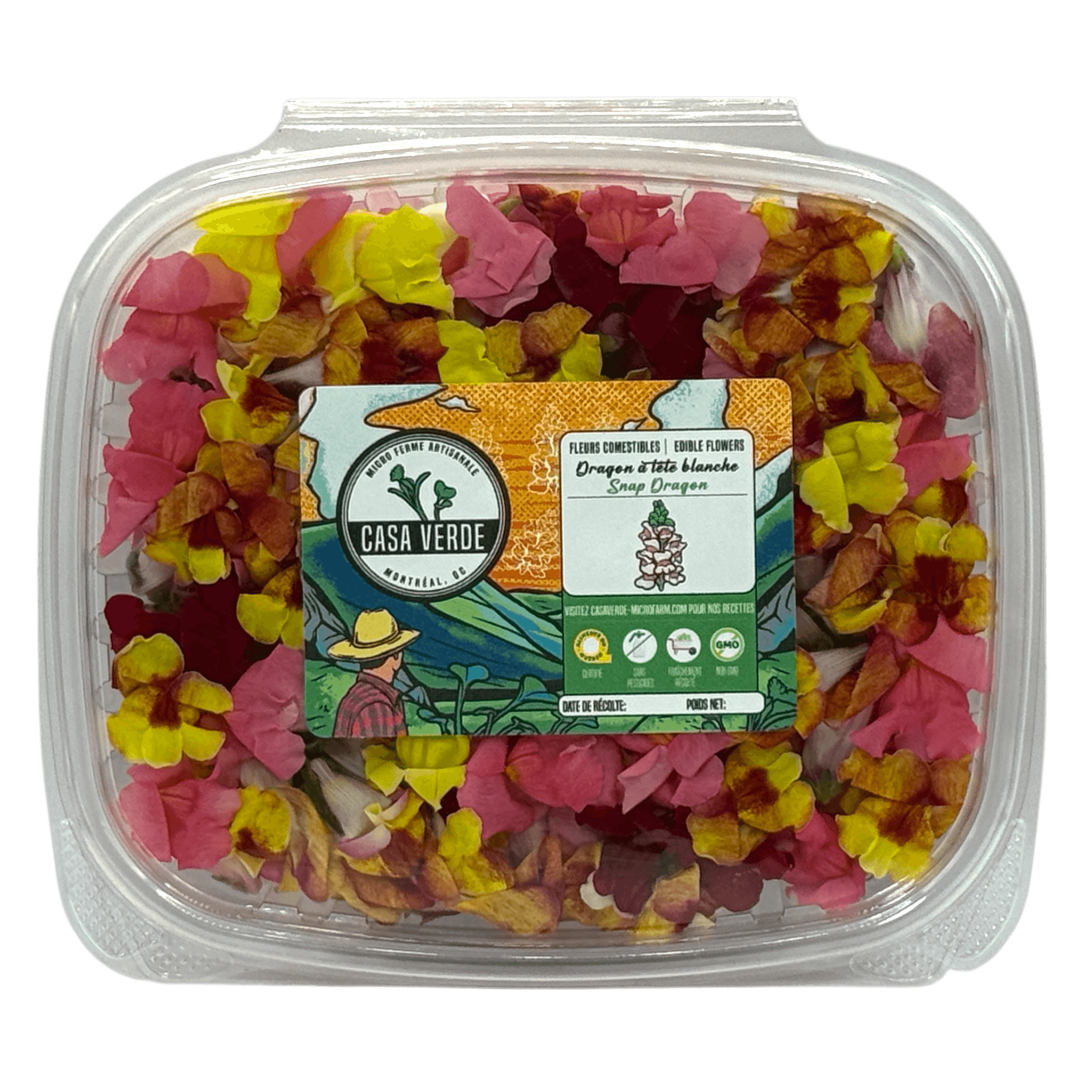 Edible Snapdragon Flowers microgreens — Casa Verde Microfarm