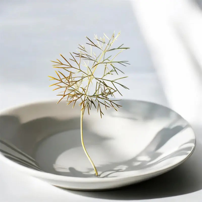 Bronze Fennel microgreens — Casa Verde Microfarm