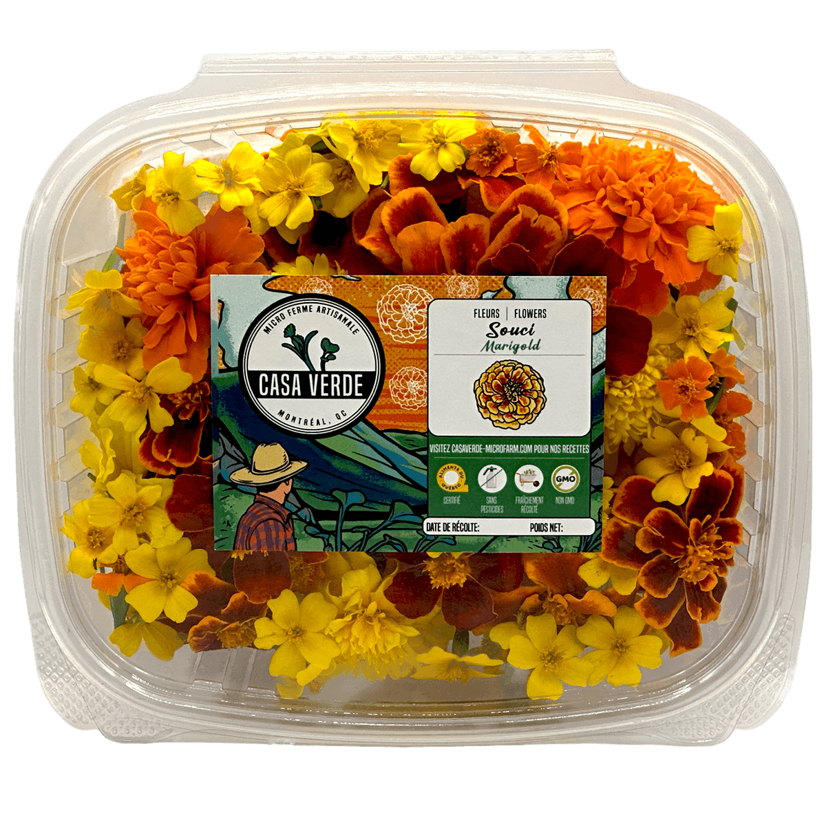Marigold Mixed Edible Flowers microgreens — Casa Verde Microfarm