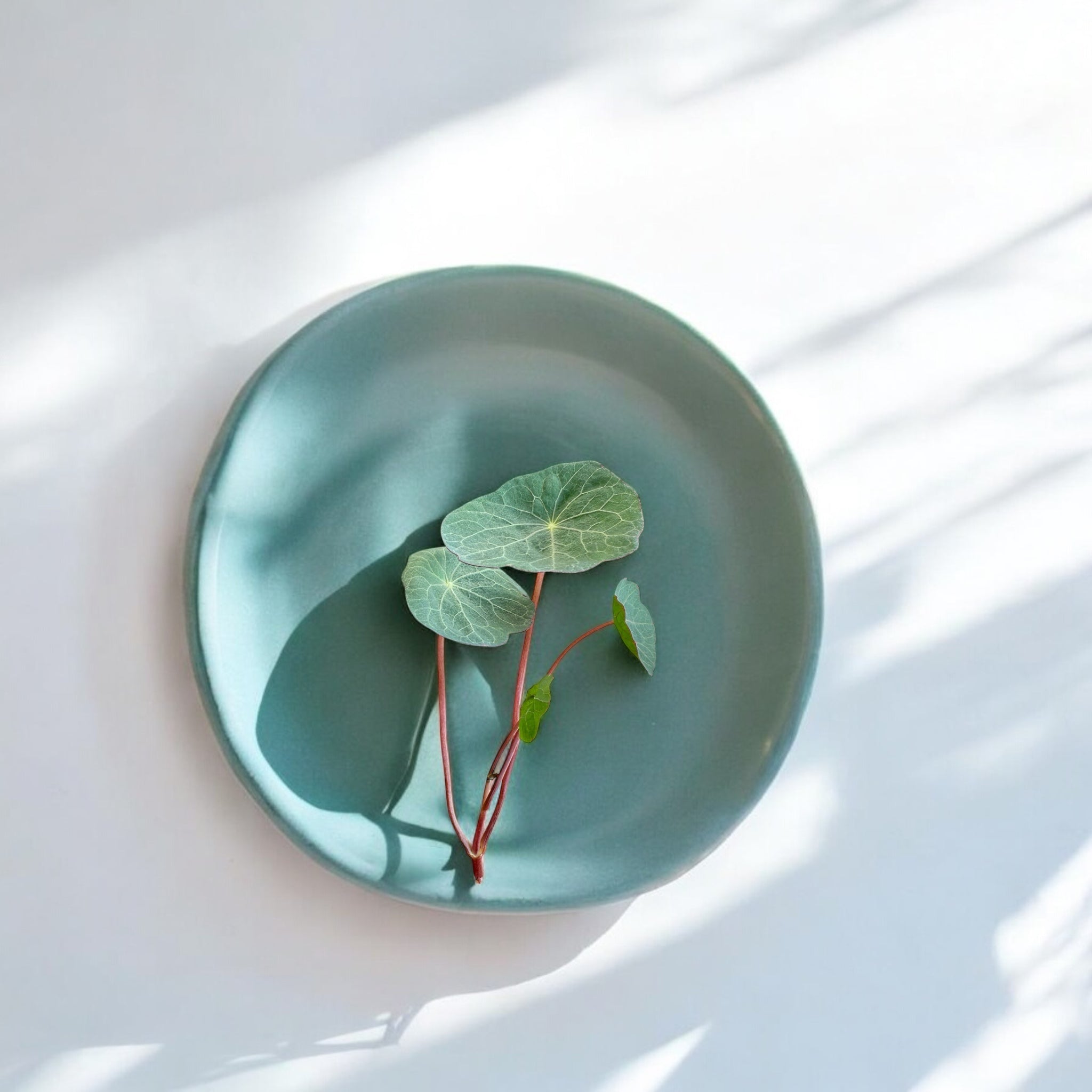 Red Nasturtium microgreens — Casa Verde Microfarm