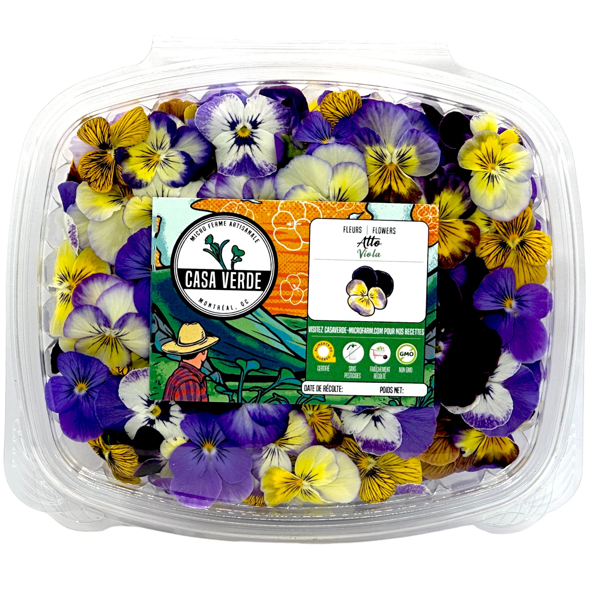 Viola Pansy Edible Mixed Flowers microgreens — Casa Verde Microfarm