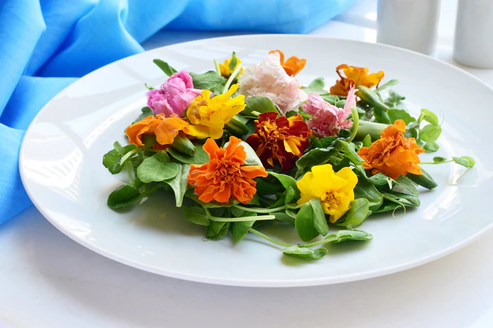 Plate of microgreens topped with orange marigolds, yellow nasturtium, and pink petals on a blue napkin