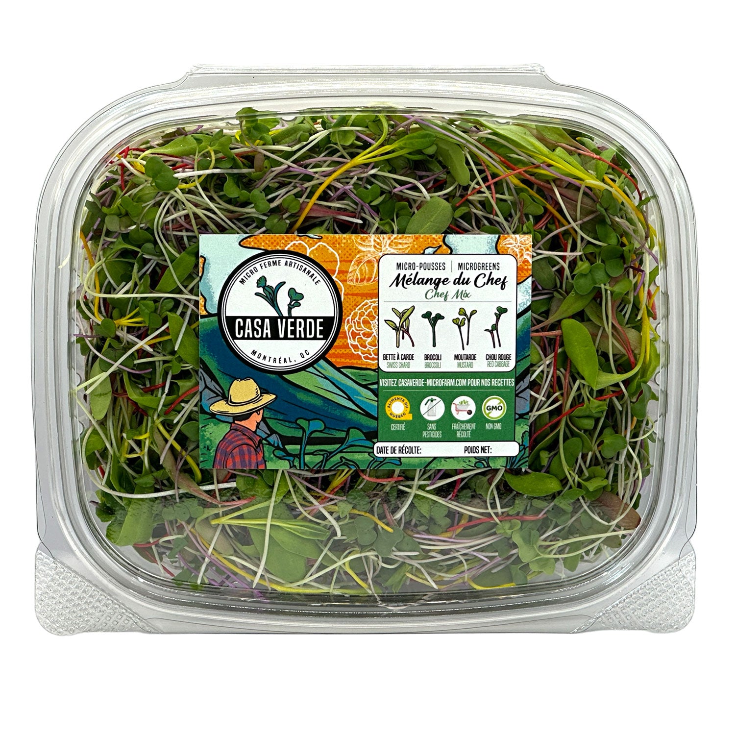Casa Verde chef mix — a blend of microgreens for restaurant plating