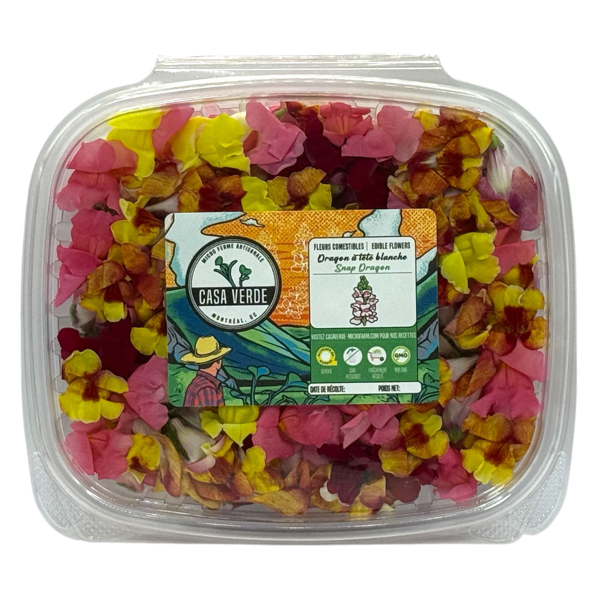 Edible Snapdragon Flowers microgreens — Casa Verde Microfarm