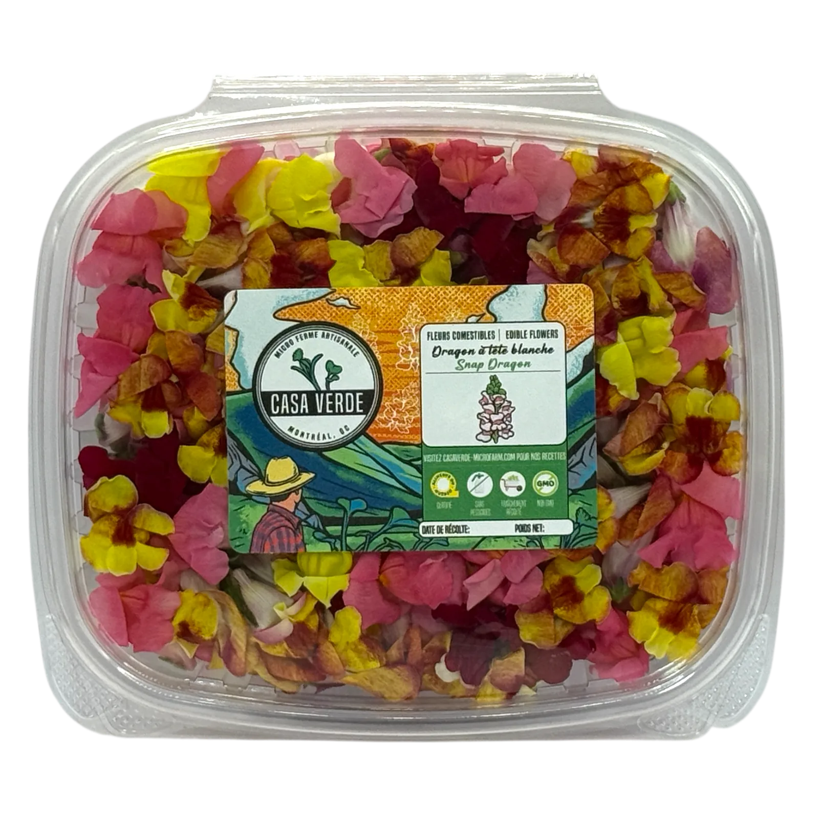 Edible Snapdragon Flowers microgreens — Casa Verde Microfarm