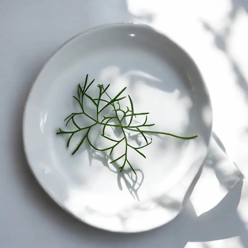 Fennel microgreens — Casa Verde Microfarm