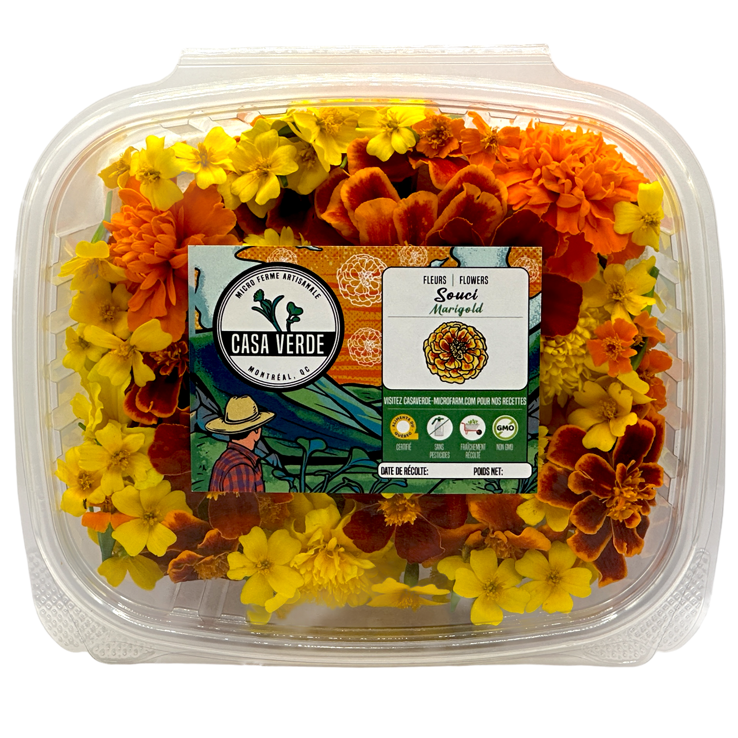 Marigold Mixed Edible Flowers microgreens — Casa Verde Microfarm