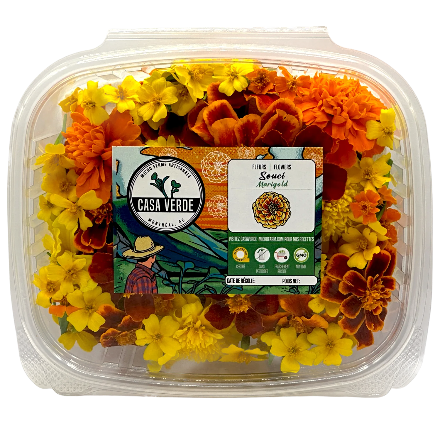 Marigold Mixed Edible Flowers microgreens — Casa Verde Microfarm