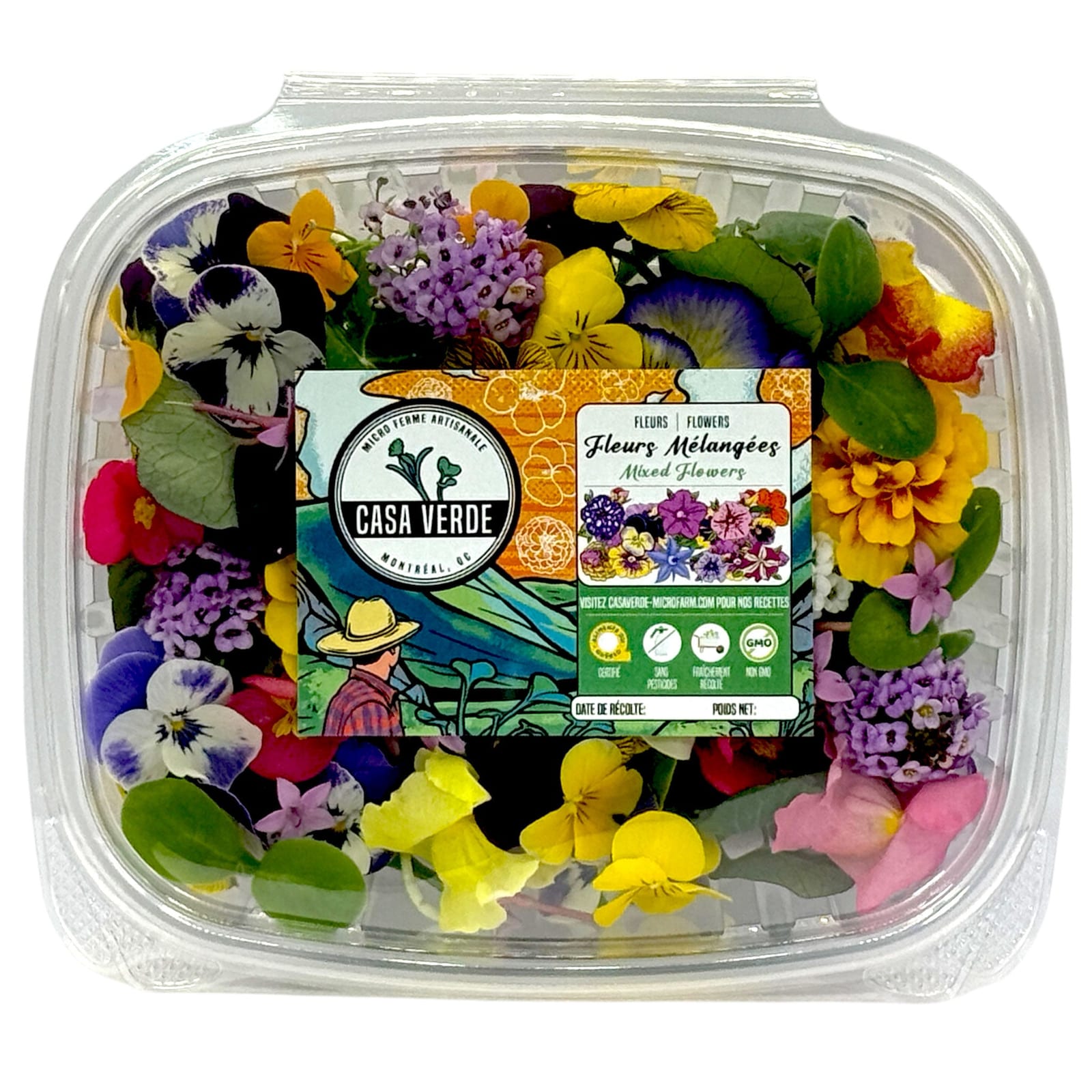 Mixed Edible Flowers microgreens — Casa Verde Microfarm