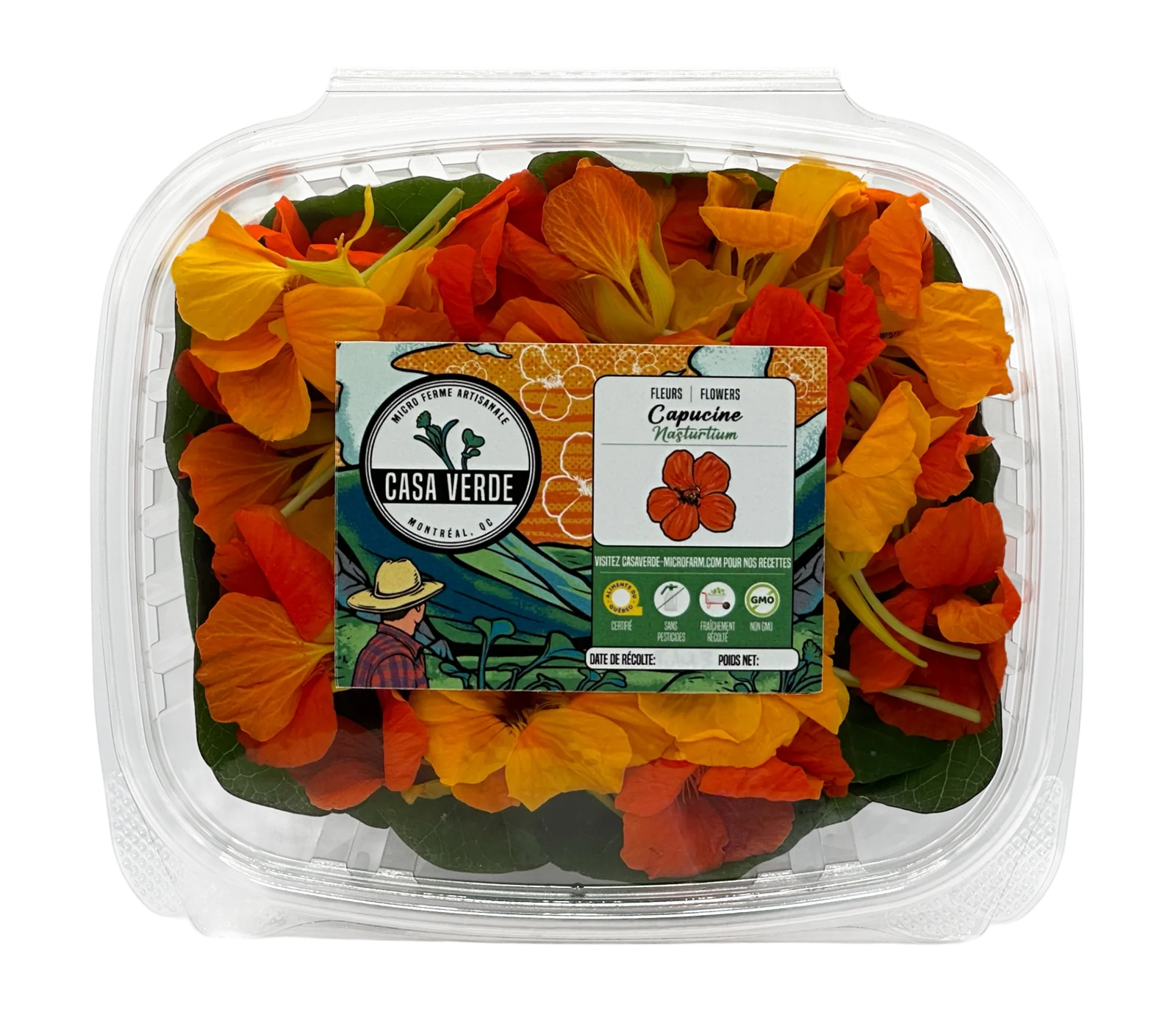 Nasturtium African Mix Edible Flowers microgreens — Casa Verde Microfarm